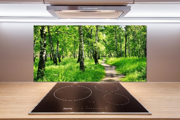 Rivestimento parete cucina con motivo Foresta di betulle