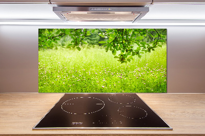 Pannello retrocucina con motivo Prato Verde