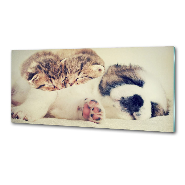 Pannello paraschizzi cucina con stampa raffigurante due gatti e un cane