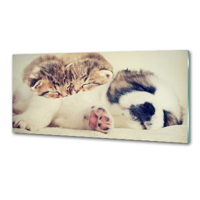 Pannello paraschizzi cucina con stampa raffigurante due gatti e un cane