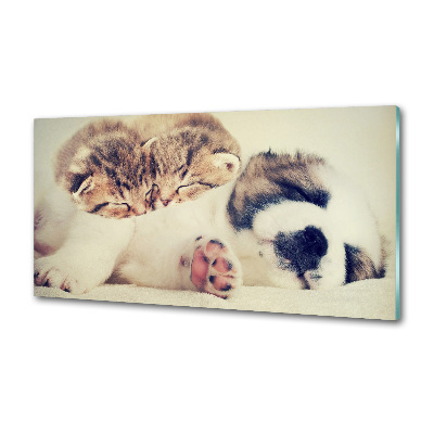 Pannello paraschizzi cucina con stampa raffigurante due gatti e un cane