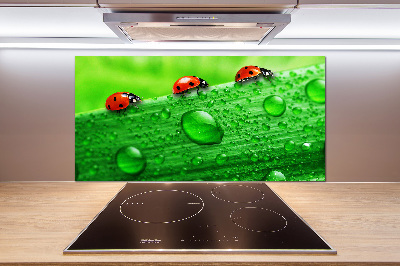 Pannello paraschizzi cucina con motivo di coccinelle sull'erba