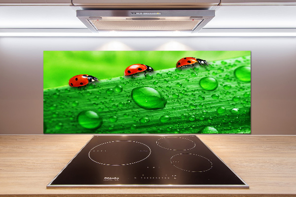 Pannello paraschizzi cucina con motivo di coccinelle sull'erba