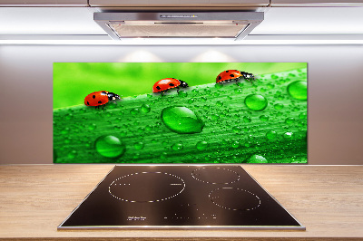 Pannello paraschizzi cucina con motivo di coccinelle sull'erba