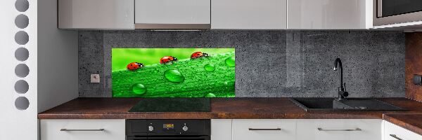 Pannello paraschizzi cucina con motivo di coccinelle sull'erba