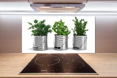 Rivestimento parete cucina con decorazione a piante aromatiche