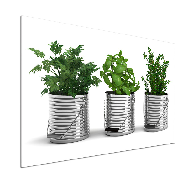 Rivestimento parete cucina con decorazione a piante aromatiche