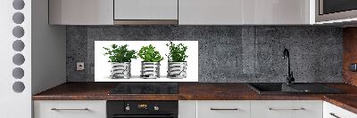 Rivestimento parete cucina con decorazione a piante aromatiche