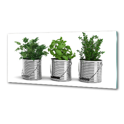 Rivestimento parete cucina con decorazione a piante aromatiche