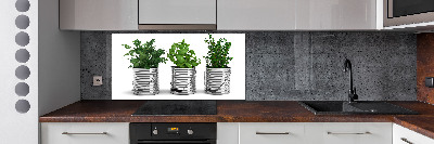 Rivestimento parete cucina con decorazione a piante aromatiche