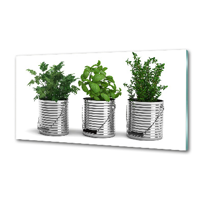 Rivestimento parete cucina con decorazione a piante aromatiche