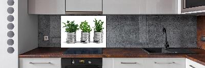 Rivestimento parete cucina con decorazione a piante aromatiche