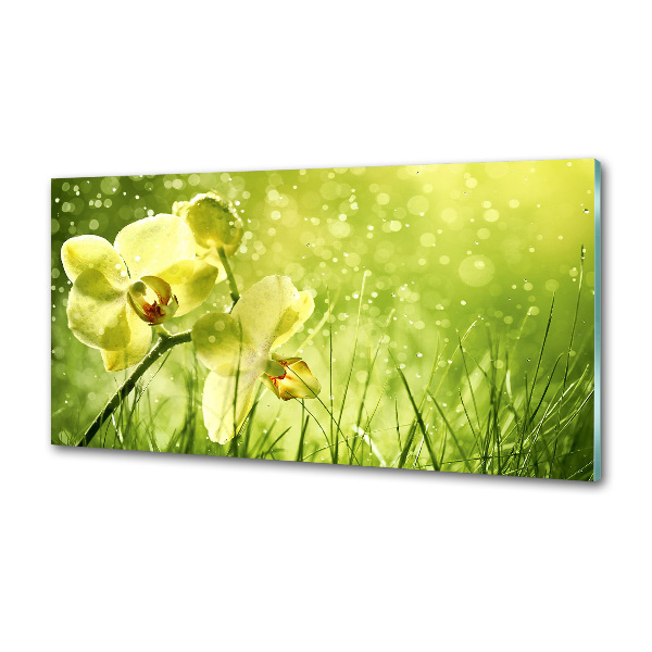 Pannello retrocucina con stampa a tema orchidea