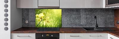 Pannello retrocucina con stampa a tema orchidea