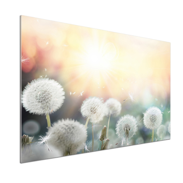 Rivestimento parete cucina con motivo Campo di tarassaco