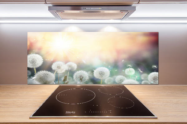 Rivestimento parete cucina con motivo Campo di tarassaco