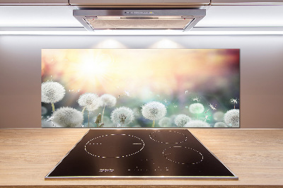 Rivestimento parete cucina con motivo Campo di tarassaco