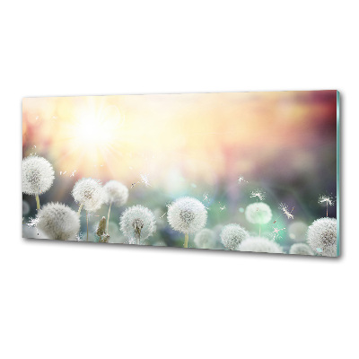 Rivestimento parete cucina con motivo Campo di tarassaco