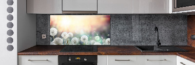 Rivestimento parete cucina con motivo Campo di tarassaco