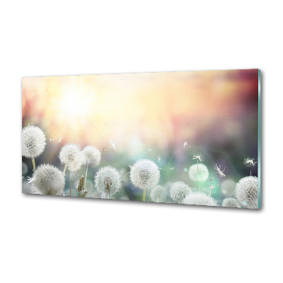 Rivestimento parete cucina con motivo Campo di tarassaco