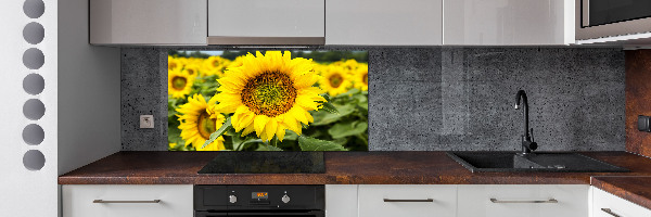 Rivestimento parete cucina con motivo a campo di girasoli
