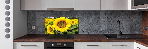 Rivestimento parete cucina con motivo a campo di girasoli