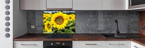 Rivestimento parete cucina con motivo a campo di girasoli