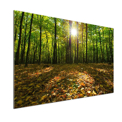 Pannello paraschizzi cucina con motivo Foresta