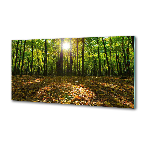 Pannello paraschizzi cucina con motivo Foresta