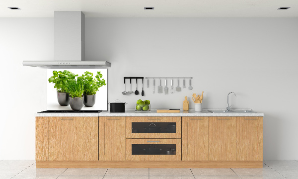 Rivestimento parete cucina con motivo di erbe aromatiche in vaso