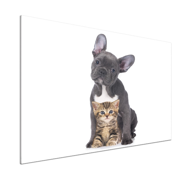 Rivestimento parete cucina con motivo cane e gatto