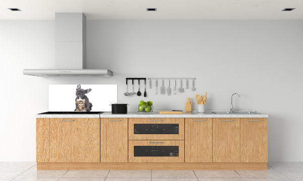 Rivestimento parete cucina con motivo cane e gatto