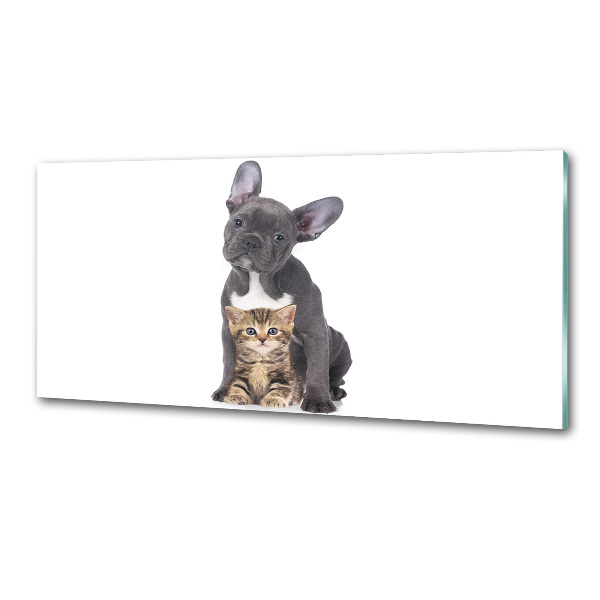 Rivestimento parete cucina con motivo cane e gatto