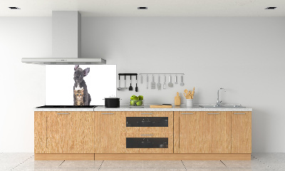 Rivestimento parete cucina con motivo cane e gatto