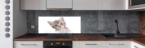 Pannello retrocucina con motivo di gatto grigio