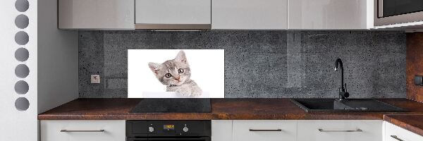 Pannello retrocucina con motivo di gatto grigio