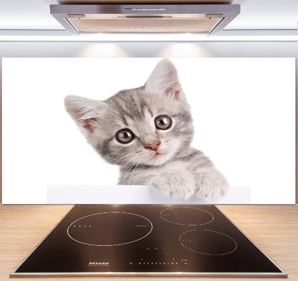 Pannello retrocucina con motivo di gatto grigio