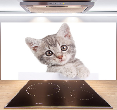 Pannello retrocucina con motivo di gatto grigio