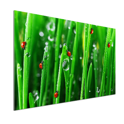 Rivestimento parete cucina con stampa di coccinelle su sfondo erboso