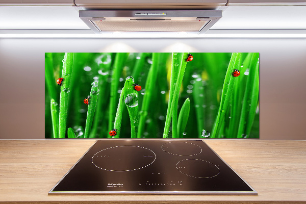 Rivestimento parete cucina con stampa di coccinelle su sfondo erboso