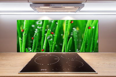 Rivestimento parete cucina con stampa di coccinelle su sfondo erboso