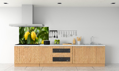 Pannello paraschizzi cucina con motivo limoni sull'albero