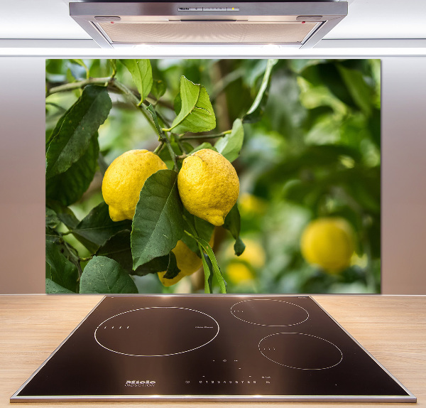 Pannello paraschizzi cucina con motivo limoni sull'albero