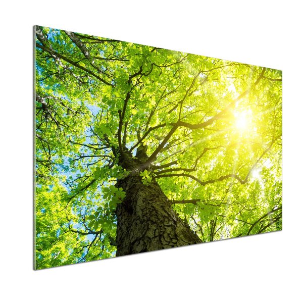 Pannello paraschizzi cucina con decorazione 'Castagna in primavera'