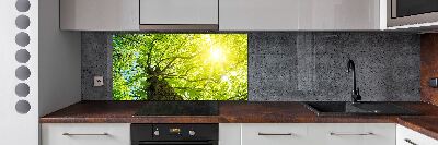 Pannello paraschizzi cucina con decorazione 'Castagna in primavera'