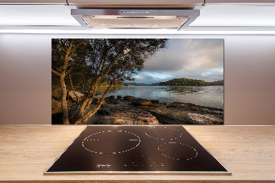 Pannello retrocucina con stampa raffigurante un albero sulla riva del fiume