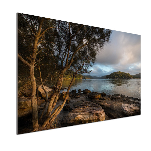 Pannello retrocucina con stampa raffigurante un albero sulla riva del fiume