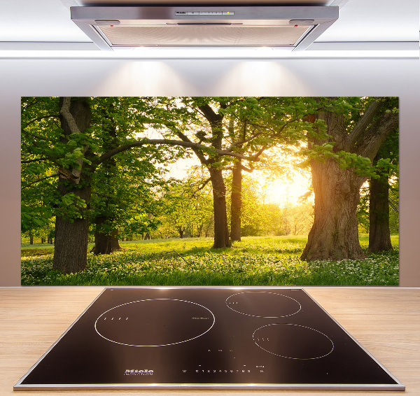 Pannello paraschizzi cucina con il motivo 