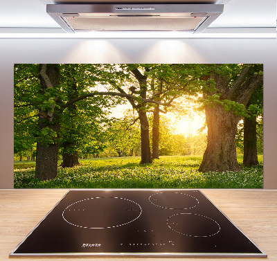 Pannello paraschizzi cucina con il motivo 