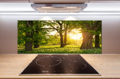 Pannello paraschizzi cucina con il motivo 